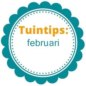 Wat te doen in de tuin in februari?